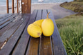 Spaghetti Squash – Vegetable 10 Seeds | Classic Winter Squash | Spaghetti-Like Flesh | Healthy & Versatile