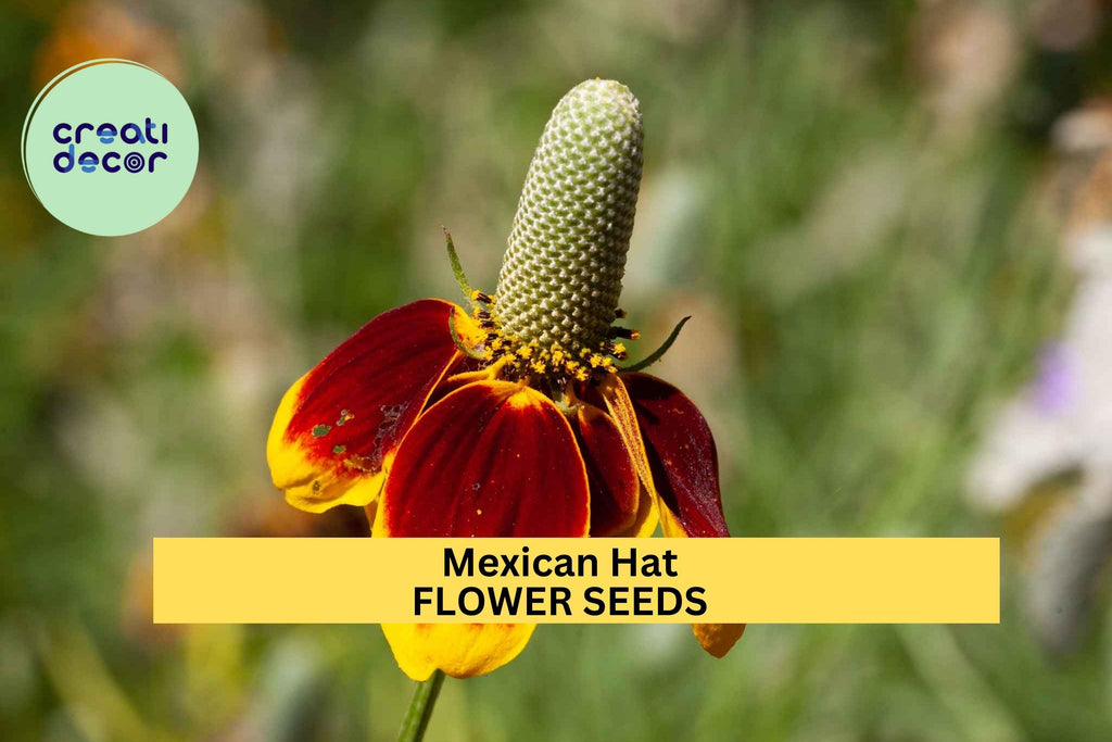 3pcs of 100mg Mexican Hat Seeds – Vibrant Red-Yellow Wildflowers for Pollinator, Meadow, and Prairie Garden Planting Seeds for Planting
