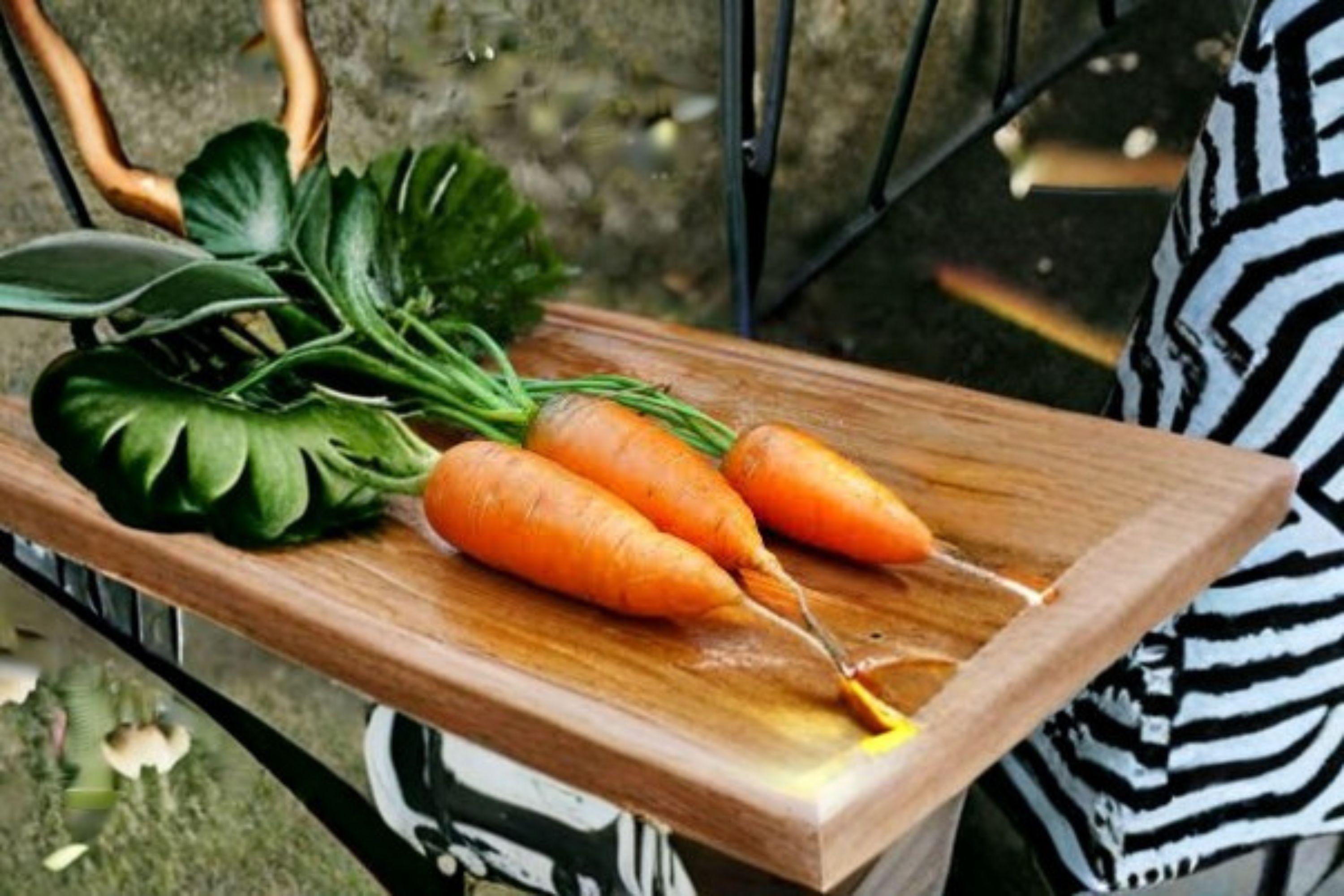 Carrot – Chantenay Red Cored 800 Seeds | Heirloom Root Vegetable | Sweet & Stocky Roots | Excellent for Heavy Soils