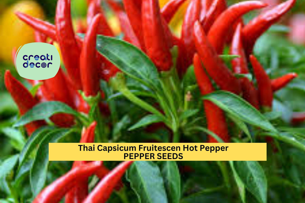 3pcs of 250mg Large Hot Cherry Pepper Seeds – Spicy Round Chili for Pickling,Cooking & Garden Growing–Heirloom Hot Pepper Seeds for Planting