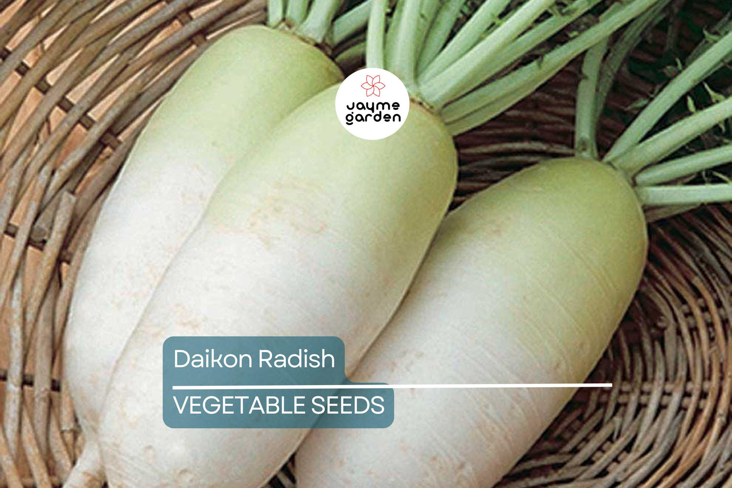 300+ Daikon Radish Seeds - Heirloom, NON-GMO, Fast-Growing, Mild Flavor, USA Seller!