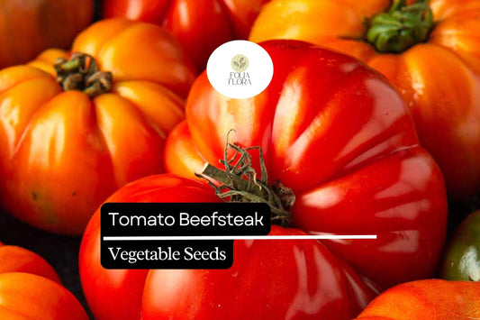 30 Beefsteak Tomato Seeds – Solanum lycopersicum – Large, Juicy & Meaty, Perfect for Slicing