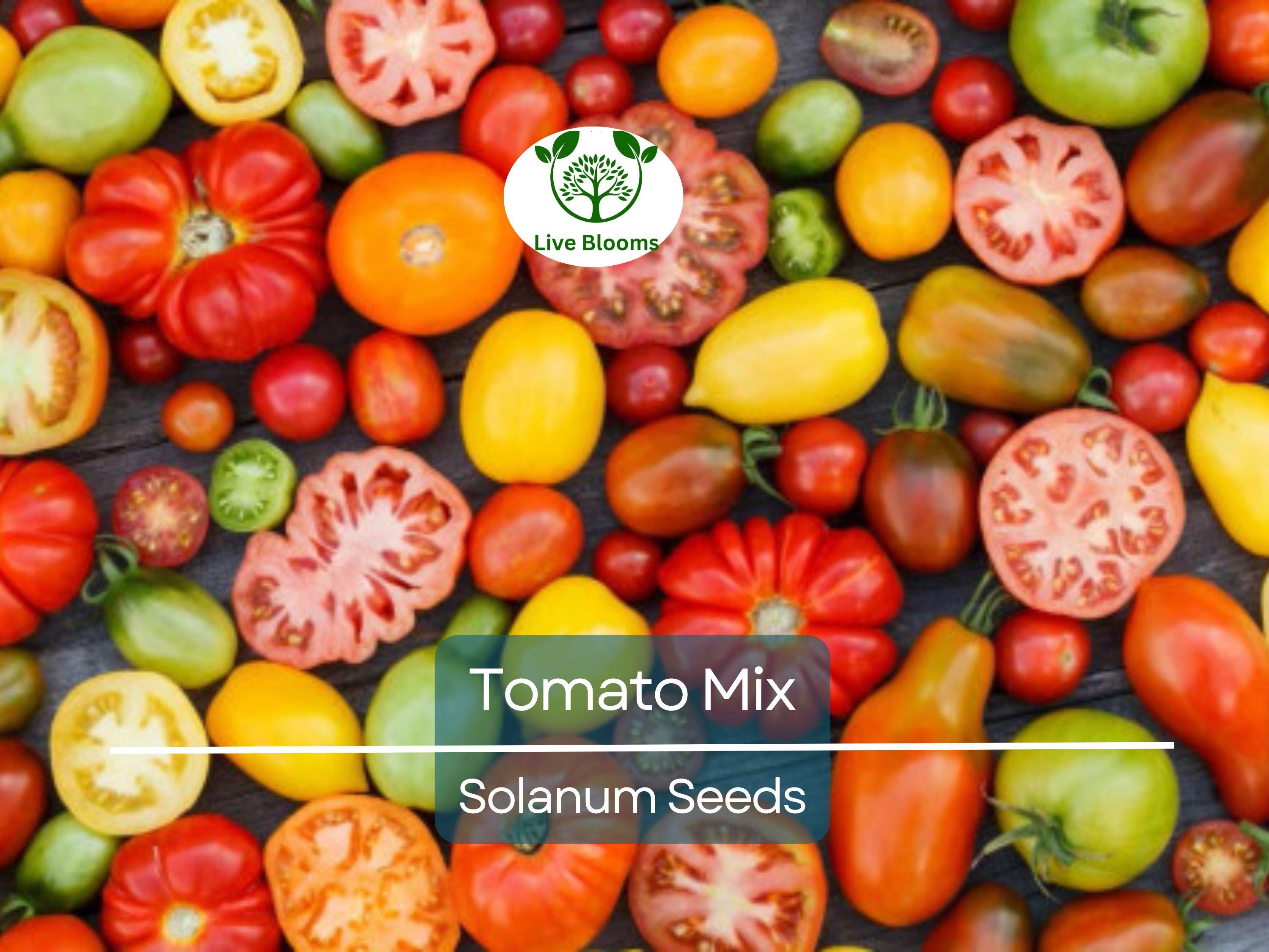 100 Heirloom Tomato Mix Seeds – Colorful Open-Pollinated Varieties | Lycopersicon esculentum | Non-GMO | Bright & Flavorful