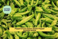 3pcs of 250mg Italian Pepperoncini Sweet Pepper Seeds – Heirloom Variety, Great for Pickling, Salads & Garden Growing Seeds for Planting