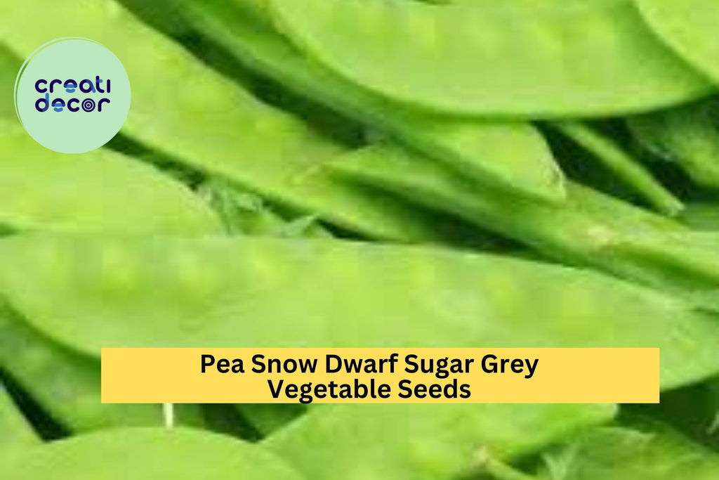 3pcs of 5g Snow Pea Dwarf Sugar Grey Seeds – Edible Pod Peas for Stir-Fries, Trellis Gardens, and Crisp Spring Harvests Seeds for Planting