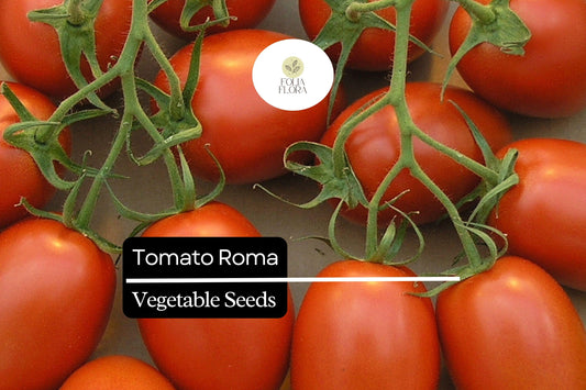 50 Seeds Tomato Roma (Solanum lycopersicum) – Classic Heirloom Plum Tomato for Sauces, Soups, and Canning