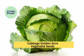 3pcs x 1g Golden Acre Cabbage Seeds – Early Heirloom Variety for Garden Beds, Raised Rows, or Container Growing Seeds for Planting
