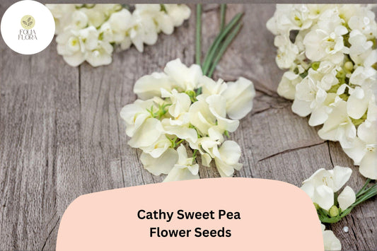 50+ Cathy Sweet Pea Seeds | Yellow Cream Climbing Flowers for Trellis & Garden