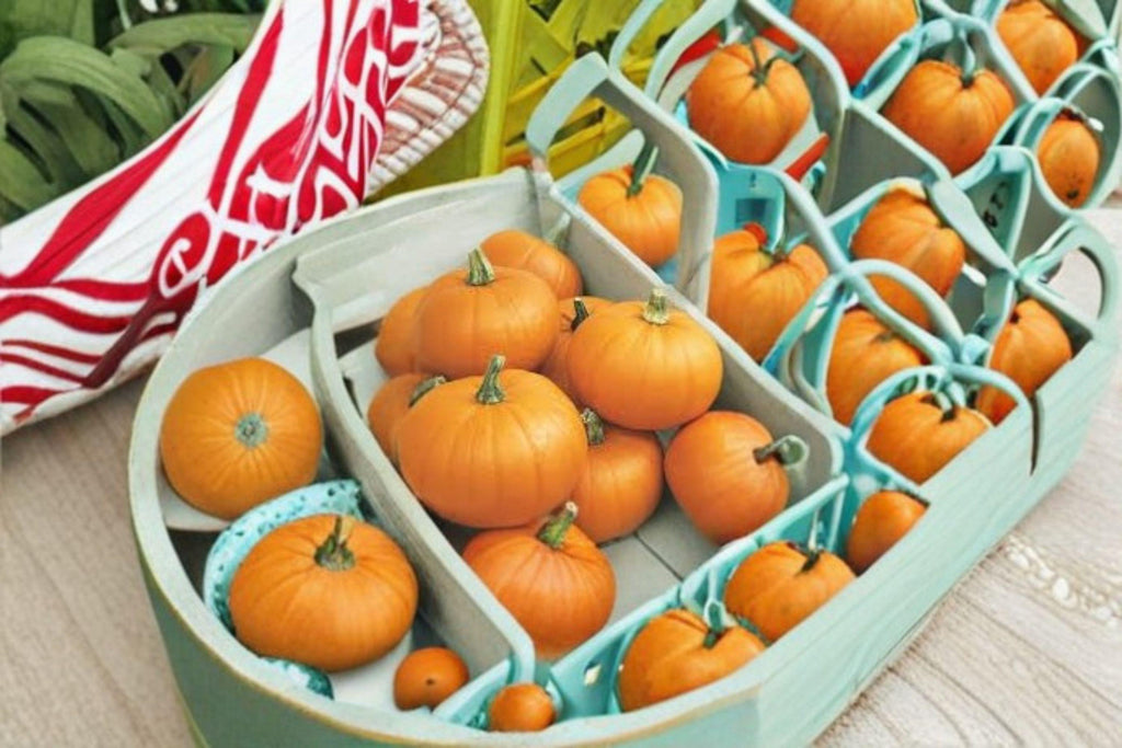 Small Sugar Pumpkin – Vegetable 5 Seeds | Classic Pie Pumpkin | Sweet Flesh | Perfect for Baking & Cooking