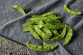 Pea – Snow Dwarf Sugar Grey 40 Seeds | Heirloom Snow Pea | Edible Pods | Compact Plants with Purple Flowers