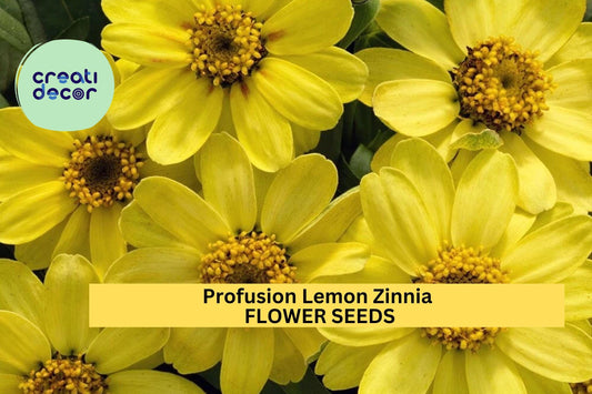 100+ Profusion Lemon Zinnia Seeds – Soft Yellow Blooms for Garden Planting, Compact Annuals for Borders, Beds & Containers – USA