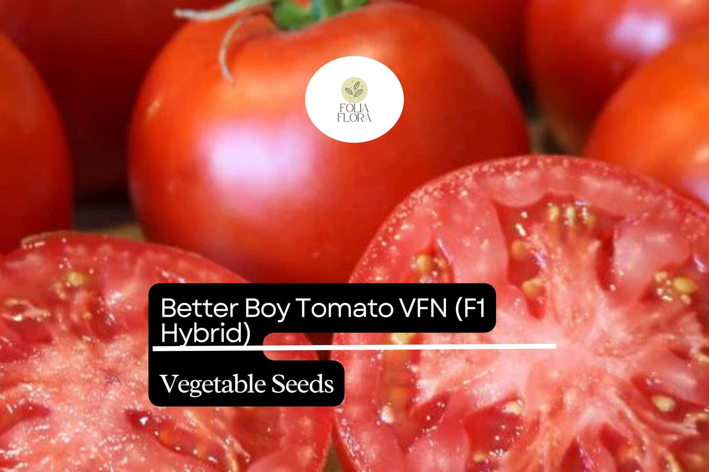 10 Seeds Better Boy Tomato VFN, Solanum Lycopersicum, High-Yield Hybrid Variety