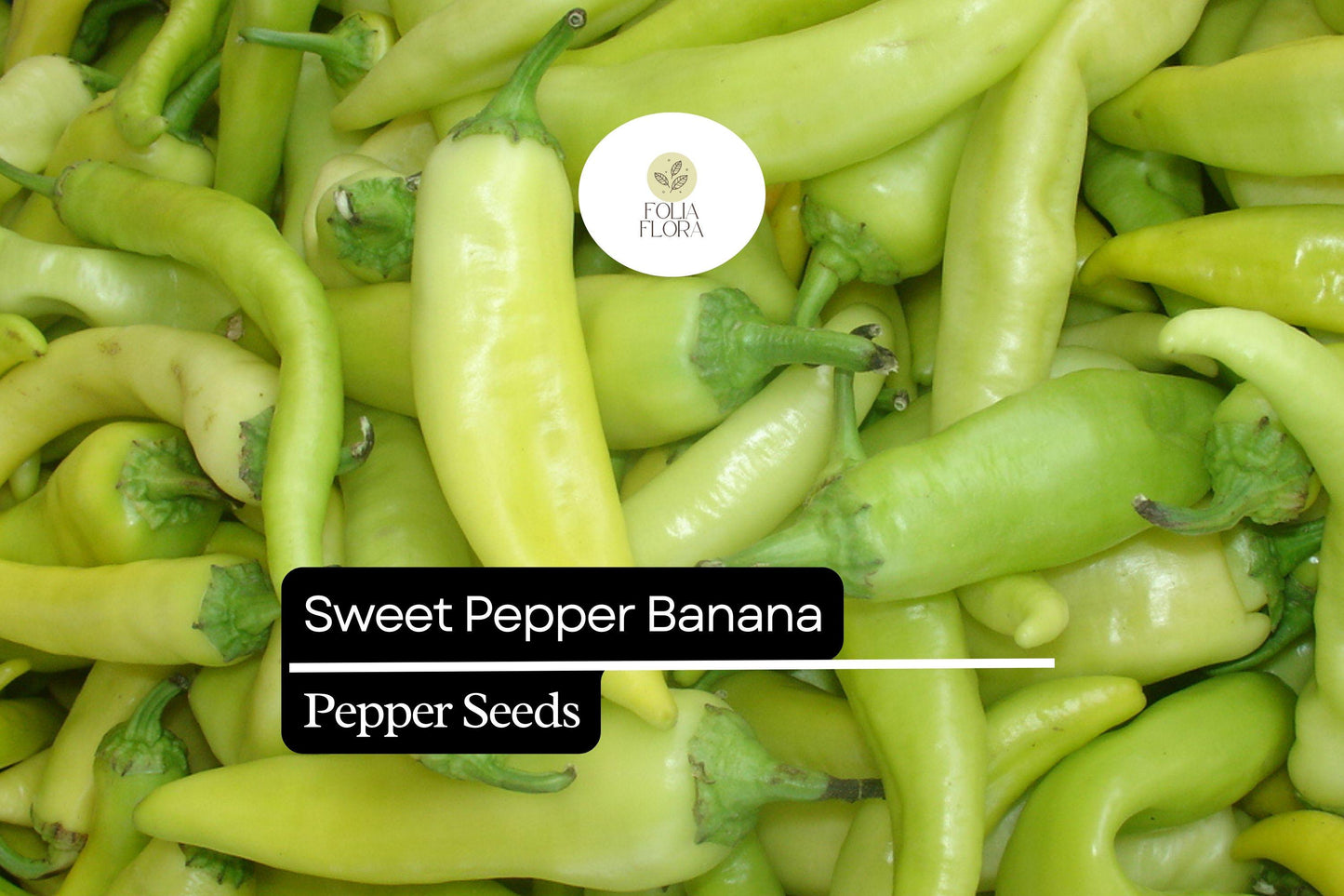 25 Sweet Banana Pepper Seeds – Capsicum annuum – Heirloom, Mild & Sweet, High-Yielding, Non-GMO