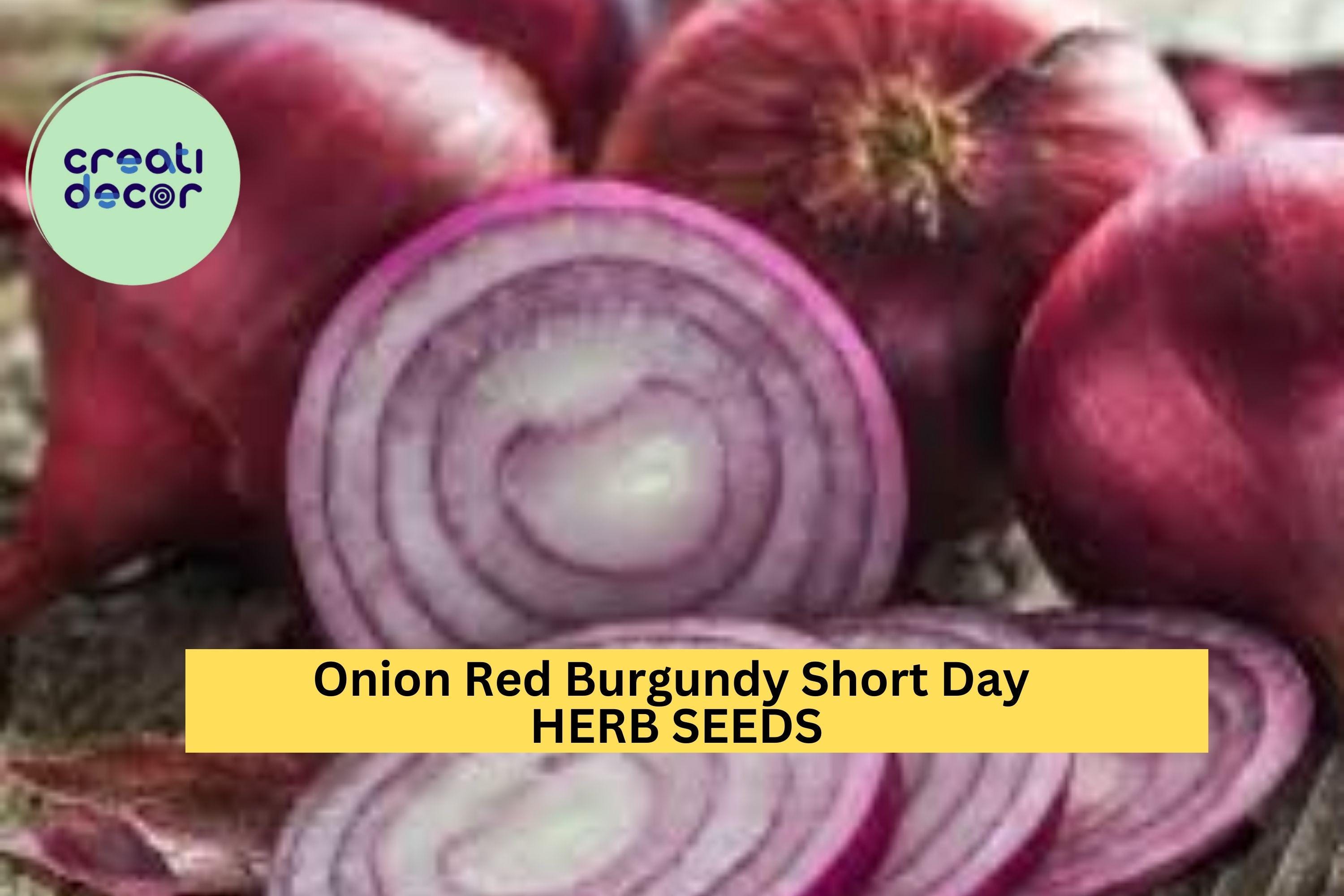 3pcs of 300mg Red Burgundy Onion Seeds – Short Day Variety for Mild, Flavorful Bulbs in Warm Climate Gardens Seeds for Planting
