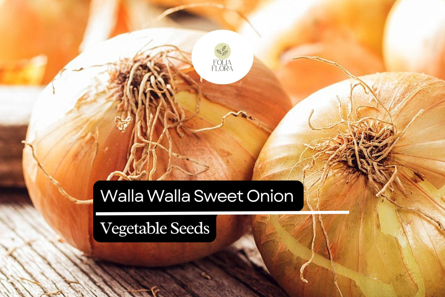 100 Seeds Walla Walla Sweet Onion – Allium cepa, Large Mild Onions, Garden Favorite