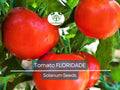 100 Floridade Tomato Seeds – Heirloom Determinate Variety | Lycopersicon esculentum | Non-GMO | Heat-Tolerant Slicing Tomato