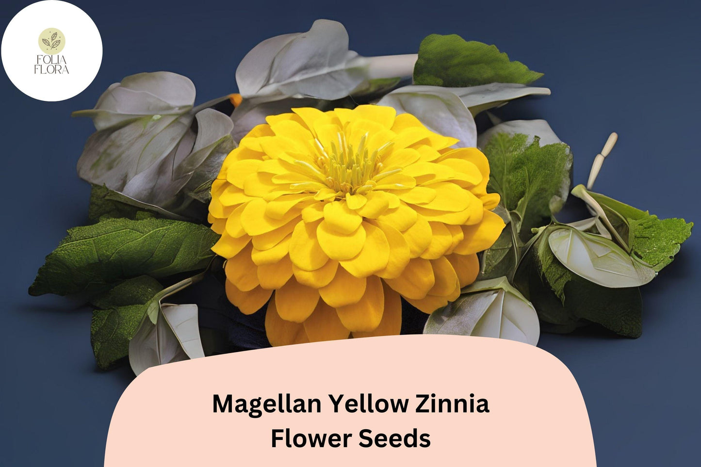 Magellan Yellow Zinnia Seeds: Compact Garden Flowers