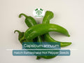 250 mg Seeds Hatch Rattlesnake Hot Pepper – Capsicum annuum | Heirloom Chili for Planting, Gardening & Bold Spicy Flavor