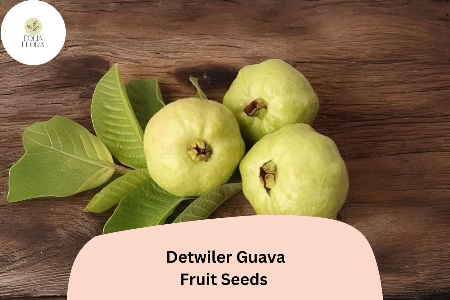 50+ Detwiler Guava Seeds – Grow Exotic Psidium guajava Fruit for Home & Garden Planting
