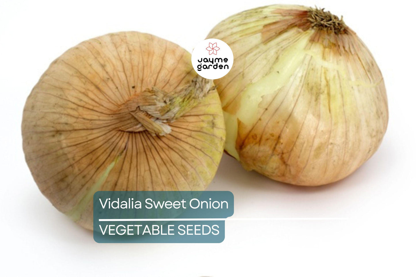 500 Treated Vidalia Sweet Onion Seeds | Non-GMO Heirloom | Early Grano Short-Day Variety
