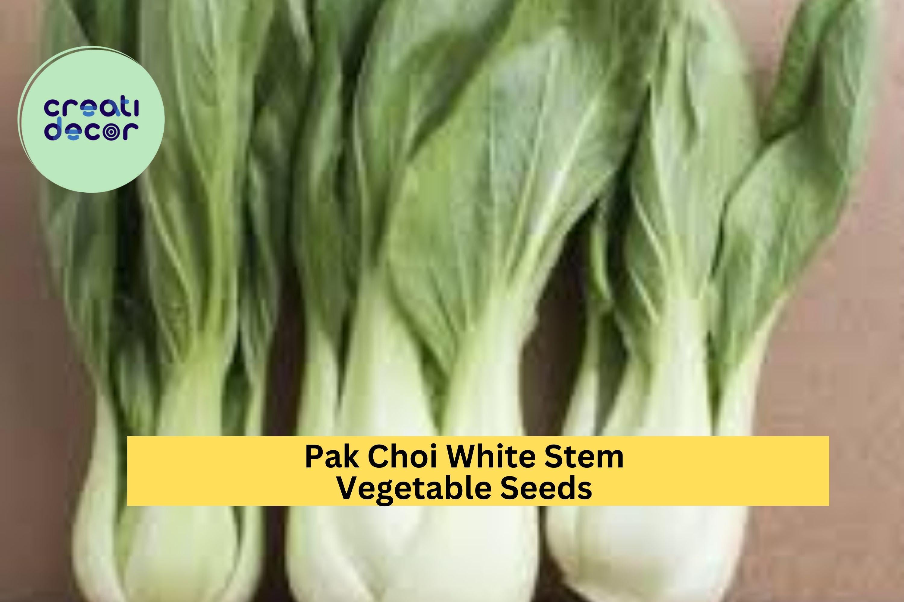 3pcs of 1g Pak Choi White Stem Seeds – Crisp Asian Greens for Stir-Fries, Soups & Home Garden Vegetable Growing Seeds for Planting