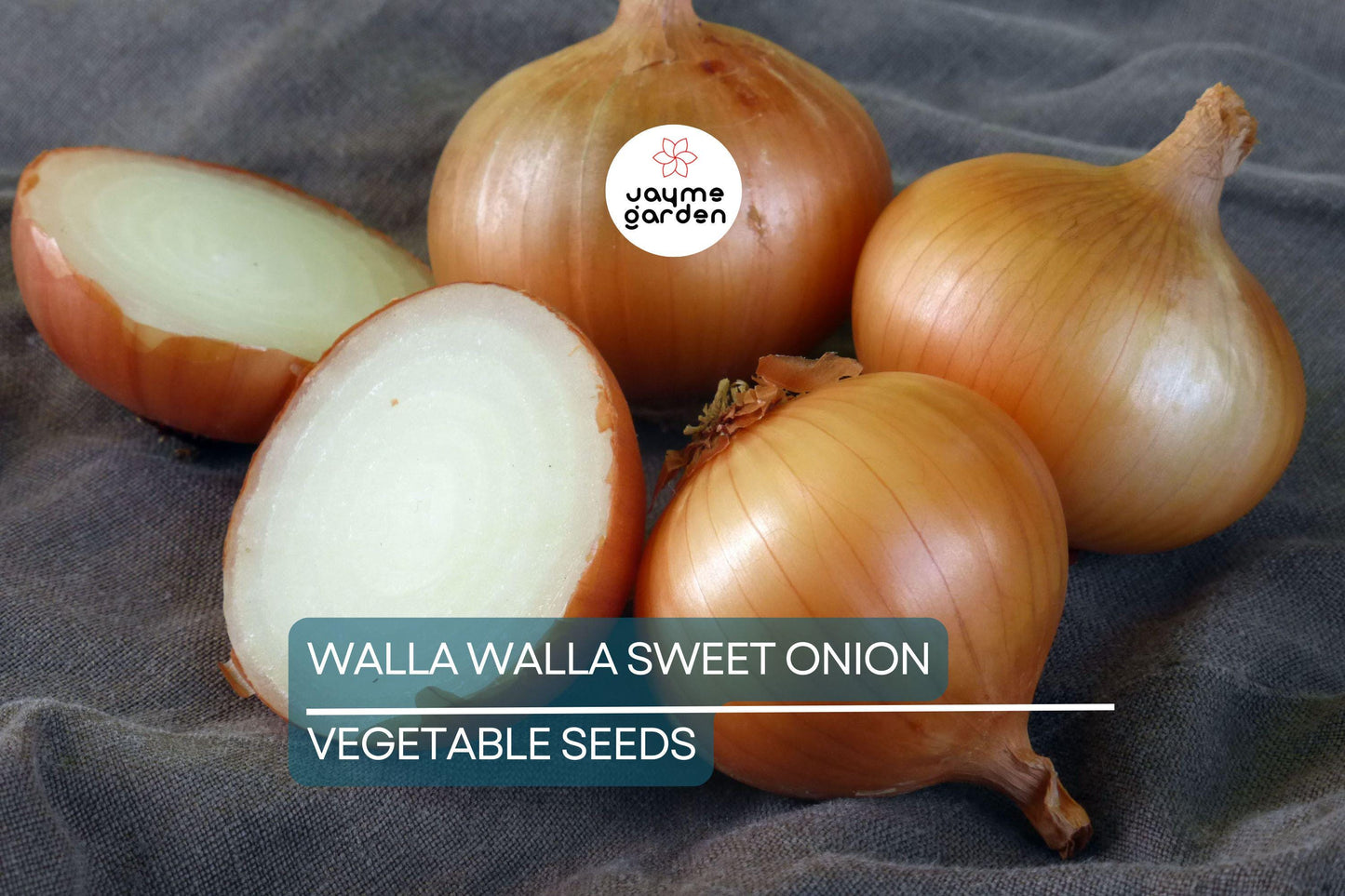1000 Walla Walla Sweet Onion Seeds – Heirloom, Non-GMO | USA Seller, Free Shipping