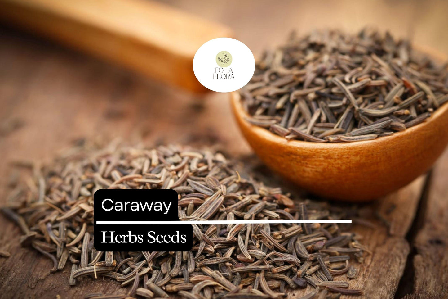 100 Seeds Caraway (Carum carvi) – Aromatic Herb for Culinary