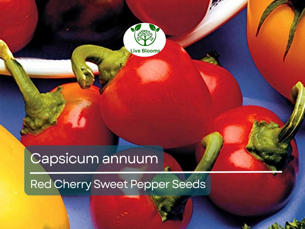 250 mg Red Cherry Sweet Pepper Seeds - Capsicum annuum | Heirloom Sweet Pepper for Planting, Home Garden & Culinary Use, Small Round Peppers