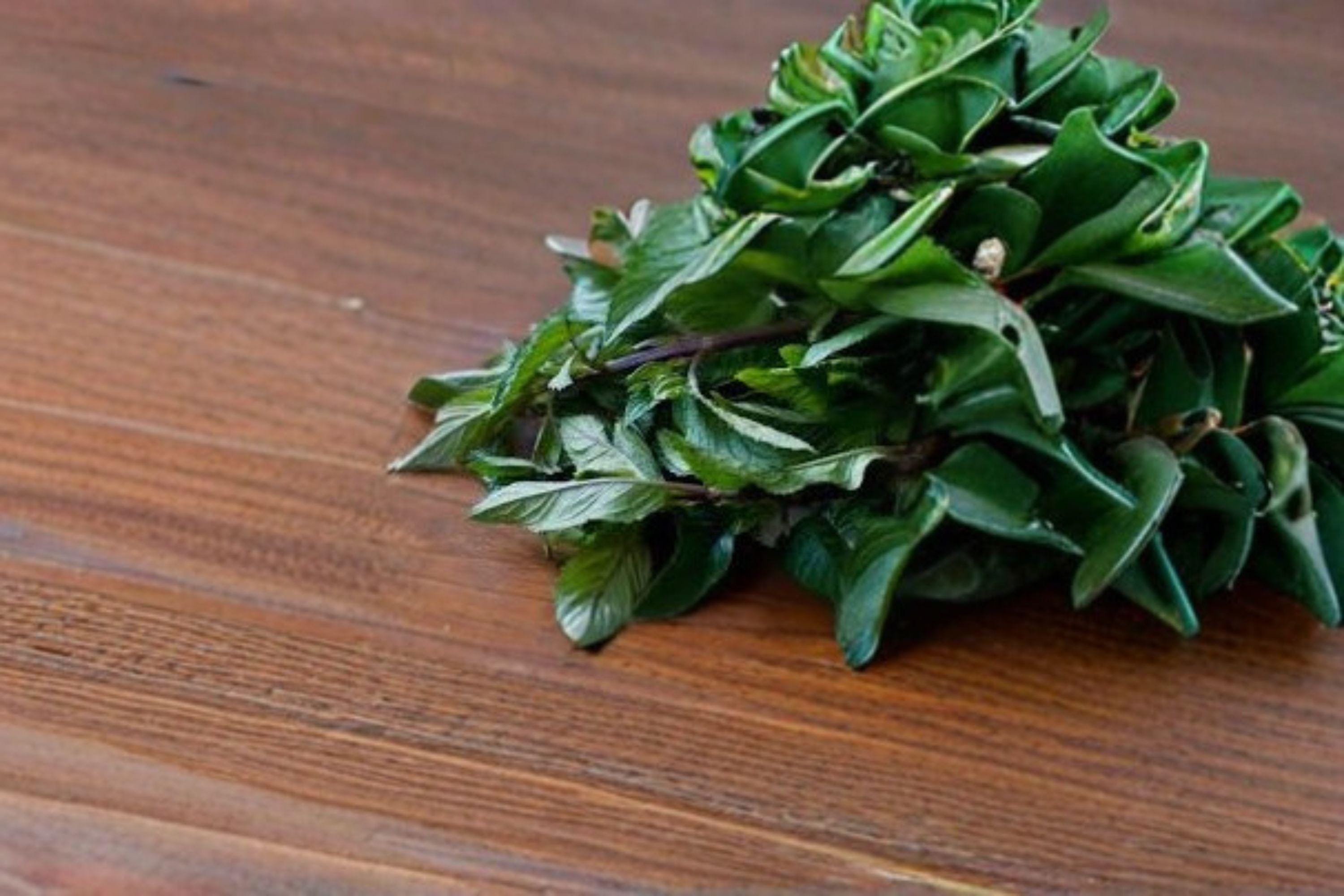 Black Mint – Huacatay 100 Seeds | Peruvian Culinary Herb | Bold Minty-Anise Flavor | Traditional Andean Plant
