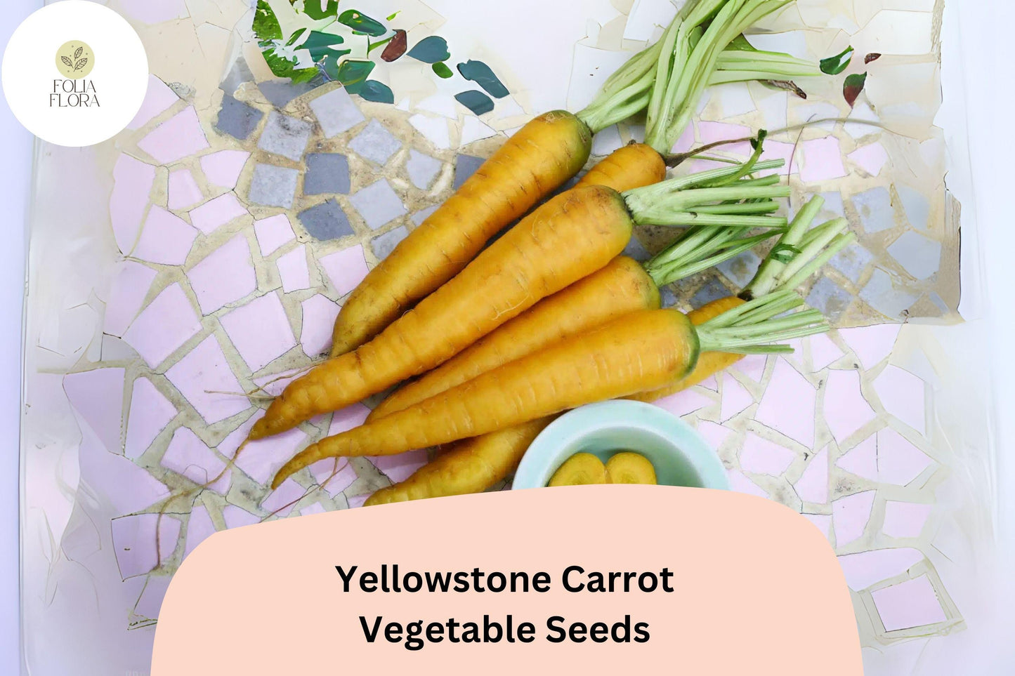 1000+ Yellowstone Carrot Seeds – Heirloom, Sweet & Tender Yellow Carrots