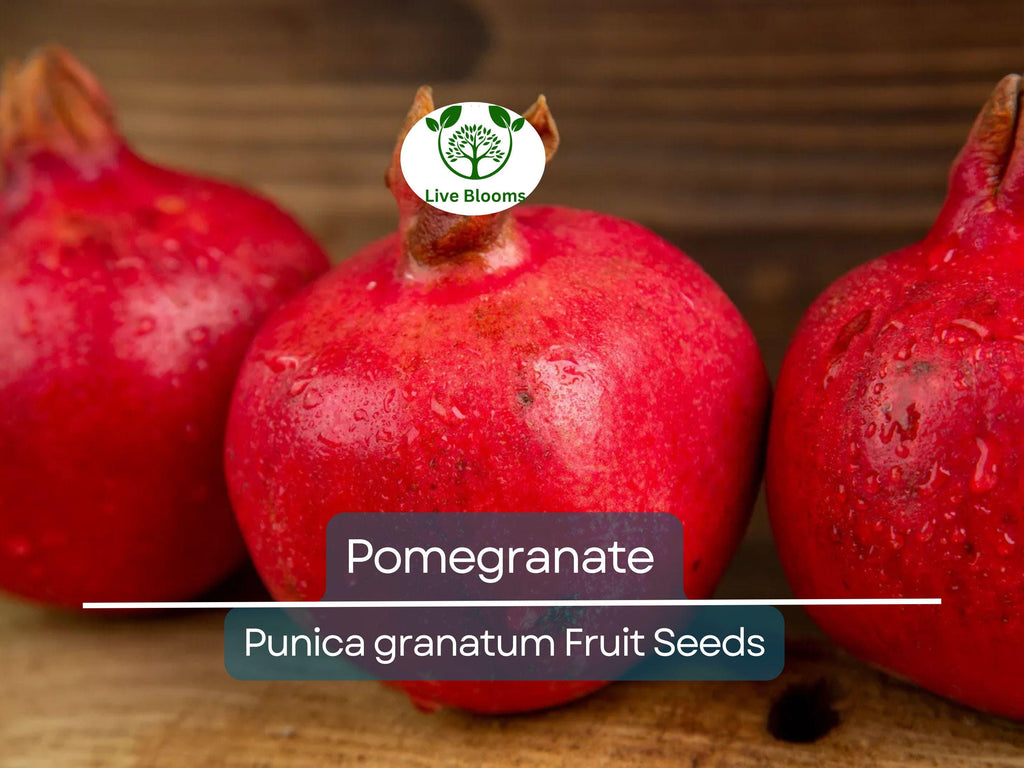 25 Pomegranate Seeds (Punica granatum) - Sweet Tropical Edible Fruit Shrub/Tree, Grow Your Own Fresh Pomegranates, Fast Growing, Healthy
