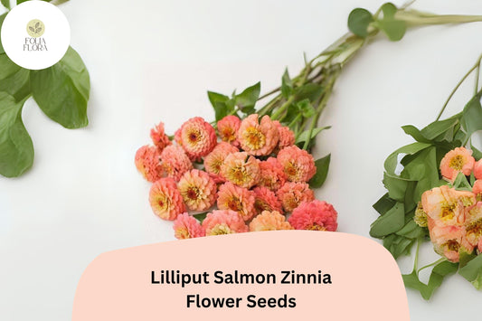 100+ Lilliput Salmon Zinnia Seeds – Mini Pompon Blooms for Borders, Beds & Summer Gardens