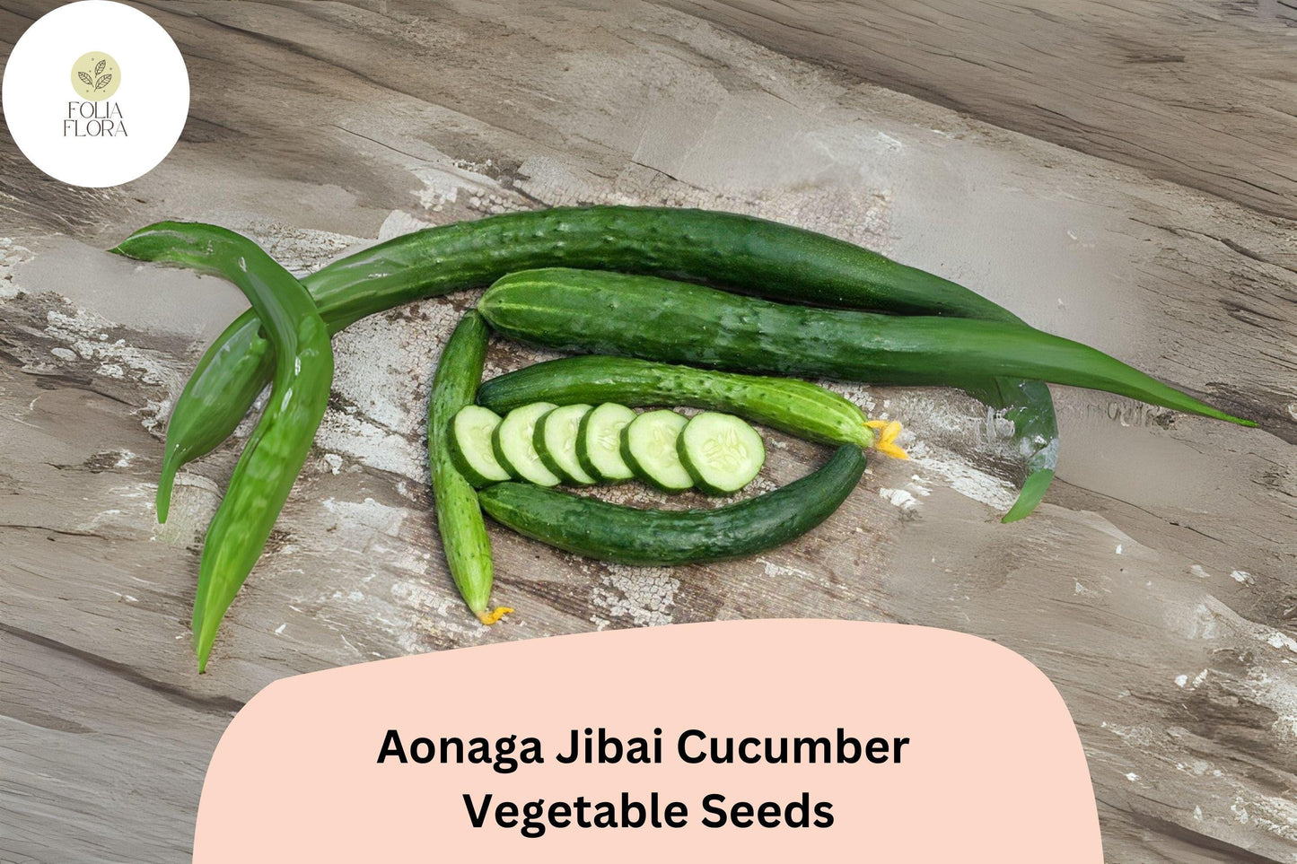 25+ Aonaga Jibai Cucumber Seeds | Japanese Heirloom | Crisp Long Green Cucumbers | Garden Planting Seeds