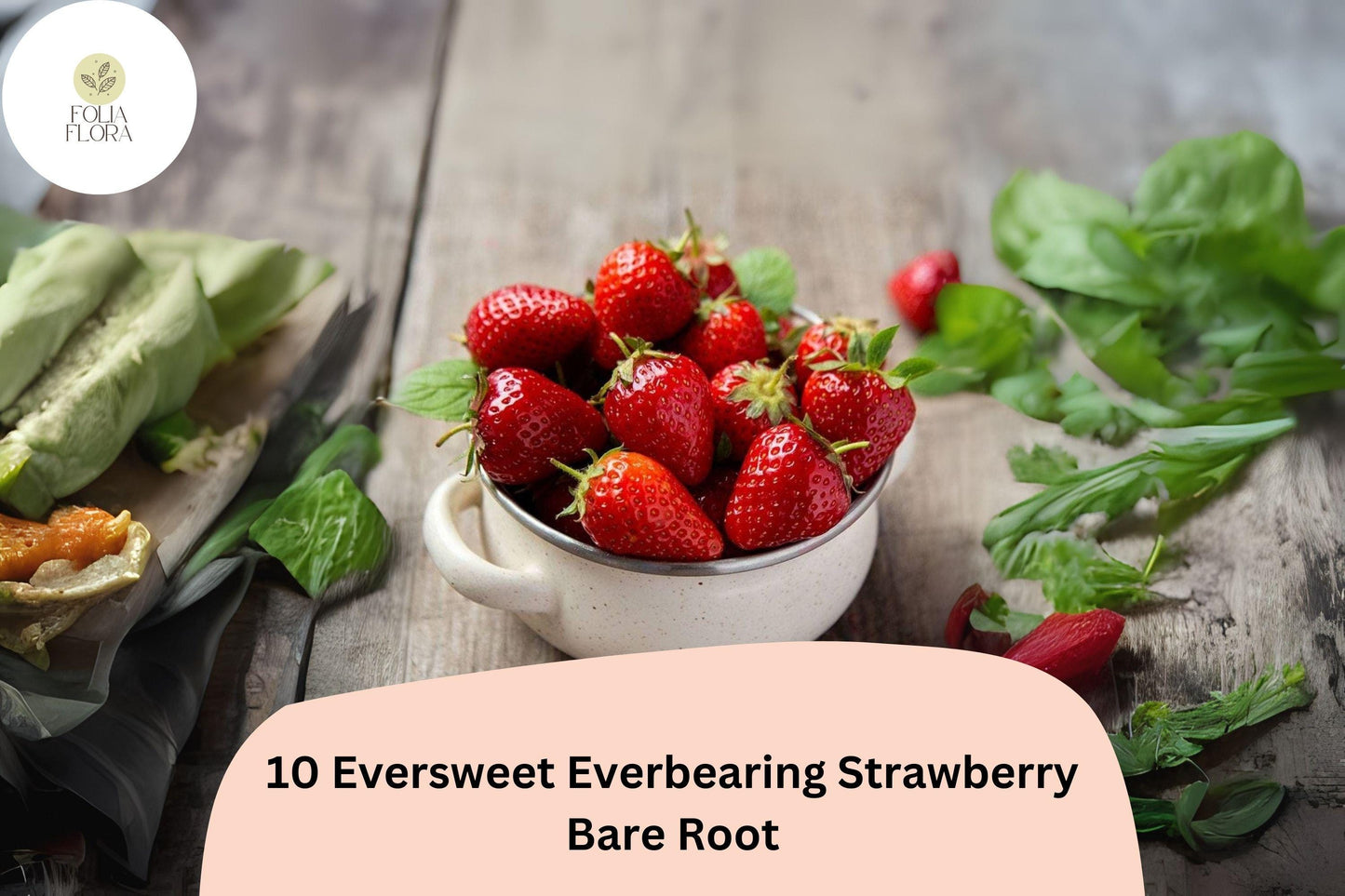 10 Eversweet Everbearing Strawberry Plants | Live Bare Root | Fragaria × ananassa Garden Fruit