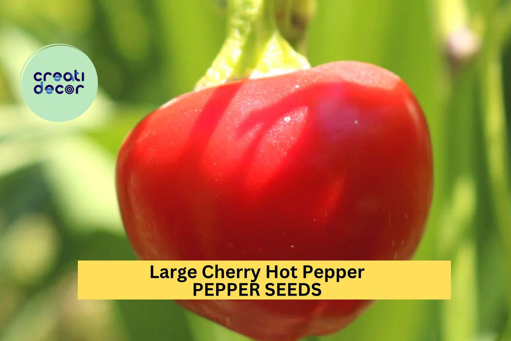 3pcs of 250mg Large Cherry Hot Pepper Seeds – Heirloom Spicy Round Peppers for Containers & Garden Planting Seeds for Planting