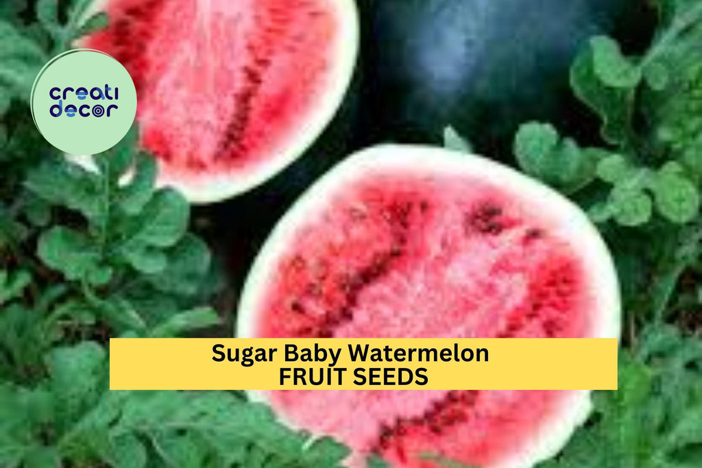 3pcs of 1g Sugar Baby Watermelon Seeds – Small Sweet Red Flesh Melon, Fast Growing, Compact Vine for Small Gardens Seeds for Planting