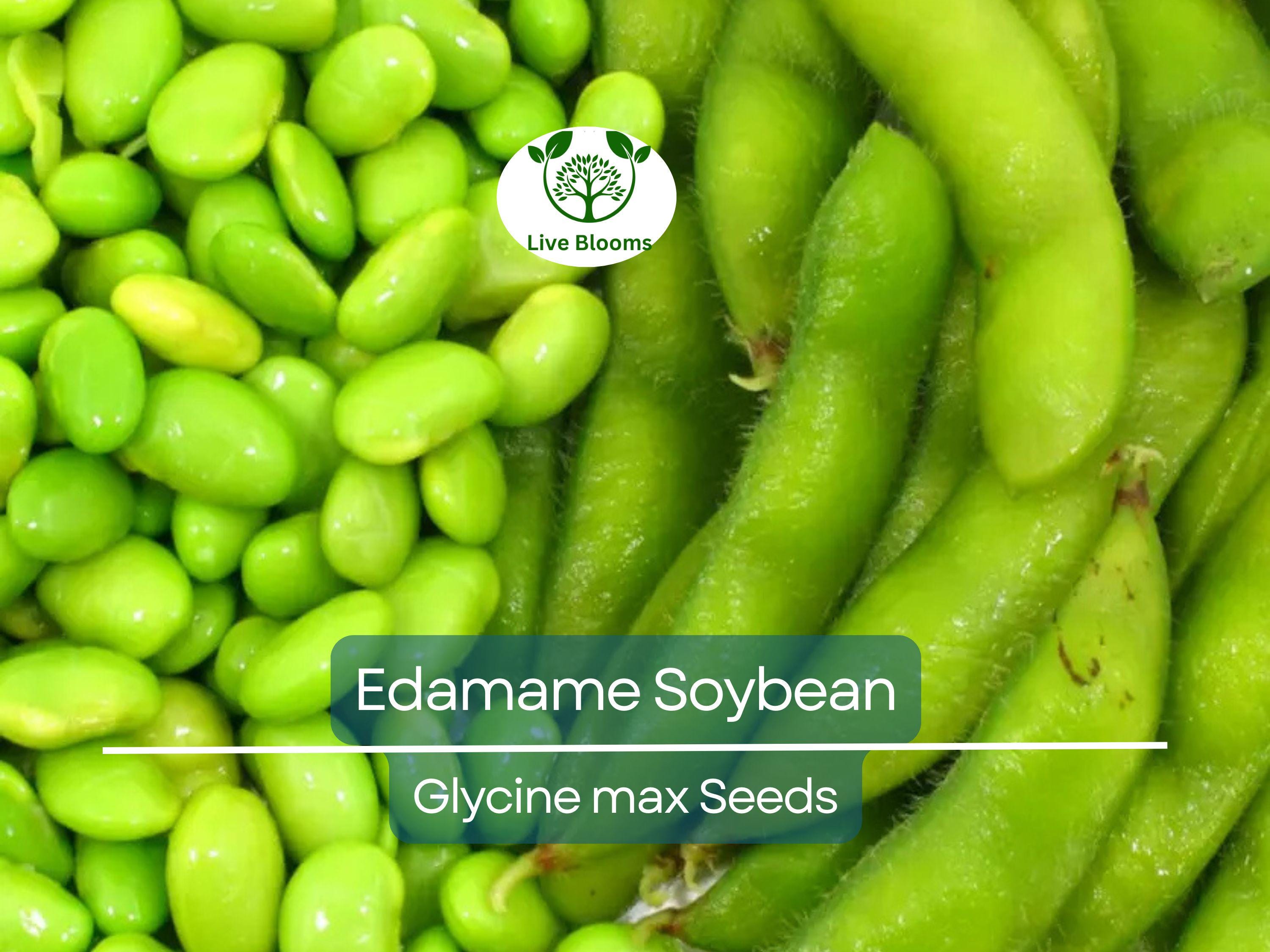 10 Edamame Soybean Seeds for Planting "Be Sweet" Japanese Vegetable, Glycine max, Asian Soybeans, Non-GMO, High-Quality Edamame Seeds