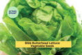 3pcs of 1g Bibb Butterhead Lettuce Seeds – Tender, Sweet Heirloom Variety Ideal for Raised Beds, Gardens & Containers Seeds for Planting