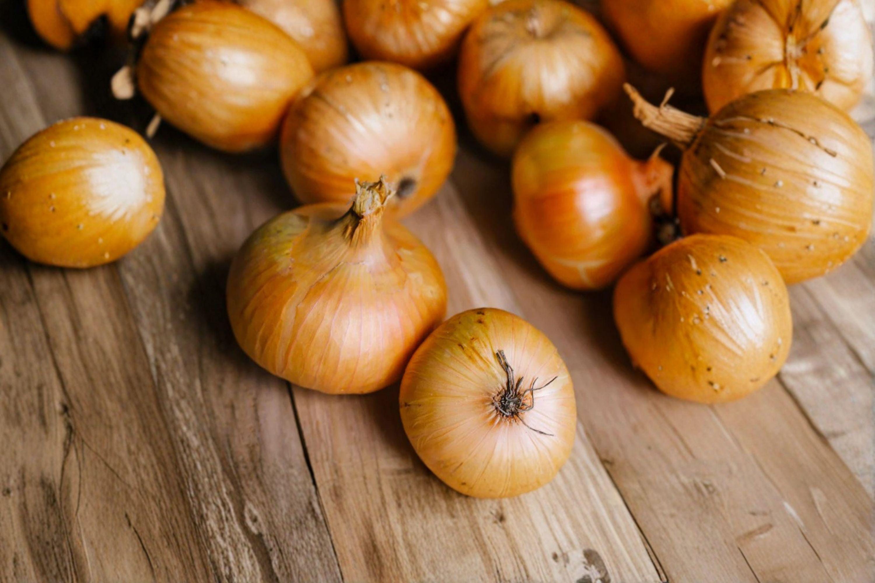 Onion – Utah Yellow Sweet Spanish 50 Seeds | Large Sweet Onion | Excellent Storage | Classic Western Variety