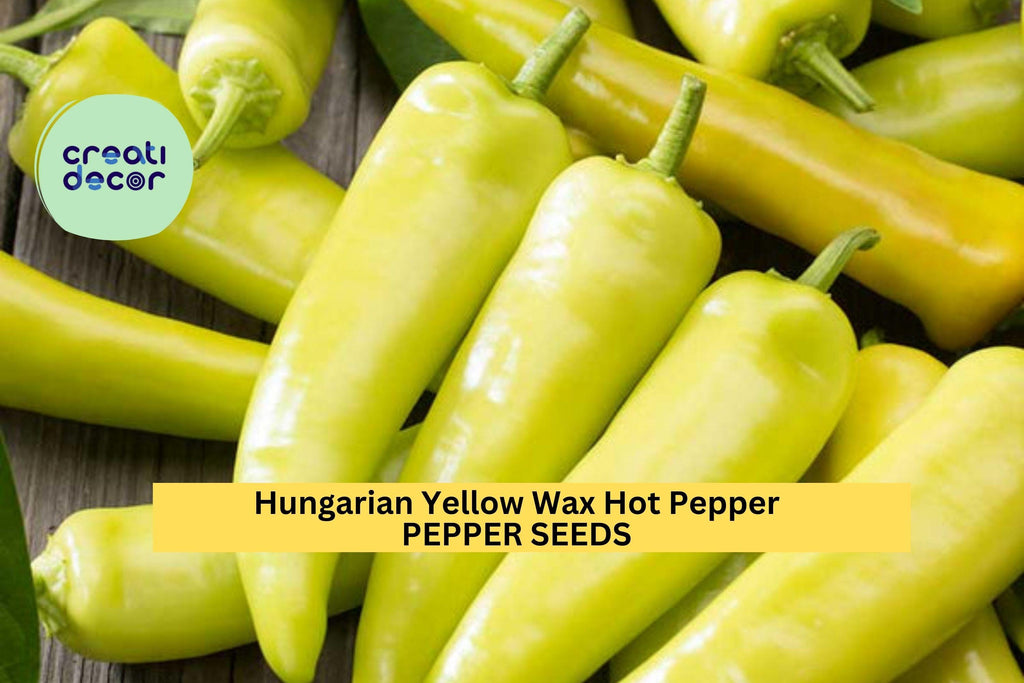 3pcs of 300mg Hungarian Yellow Wax Hot Pepper Seeds – Spicy Banana-Shaped Peppers for Pickling, Frying & Garden Growing Seeds for Planting