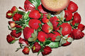 Honeoye Strawberry 20 Roots (Fragaria × ananassa) Bare Root Strawberry Plants
