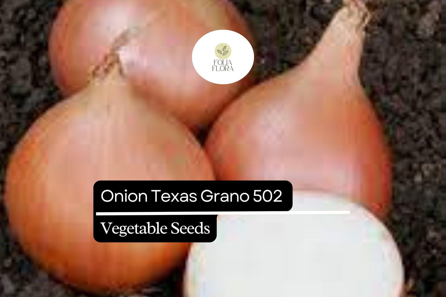 250mg Onion Texas Grano 502 Seeds Allium cepa | Sweet Globe Onion, Non-GMO, Fast-Growing, Ideal for Mild Flavors and Fresh Use