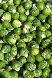 Set of 16 Vegetable & Herb Seeds – Garden Starter Pack with Basil, Arugula, Kale, Broccoli, Cilantro, Okra, Spinach and More – USA