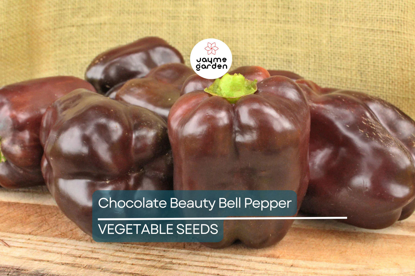 50 Chocolate Beauty Bell Pepper Seeds - Heirloom, NON-GMO, Sweet & Juicy, USA Seller