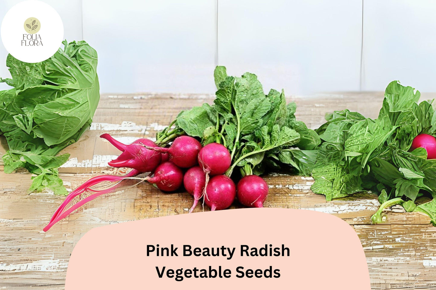 500+ Pink Beauty Radish Seeds – Heirloom Round Pink Radish Seeds for Garden Planting