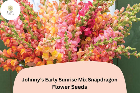 Antirrhinum majus Johnny’s Potomac Early Sunrise Mix Snapdragon Seeds – 1000+ Vibrant Cut Flower Seeds