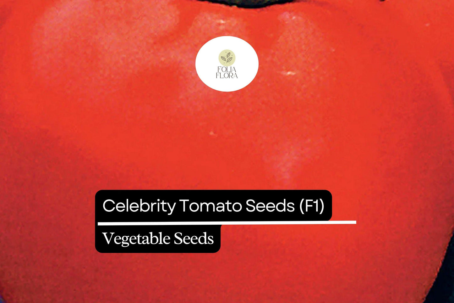 10 Seeds Celebrity Tomato (F1), Solanum Lycopersicum, High-Yield Hybrid Tomato