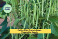 3pcs x 5g Petite Filet French Bean Seeds – Tender Bush Beans for Garden Rows, Raised Beds, or Container Growing Seeds for Planting