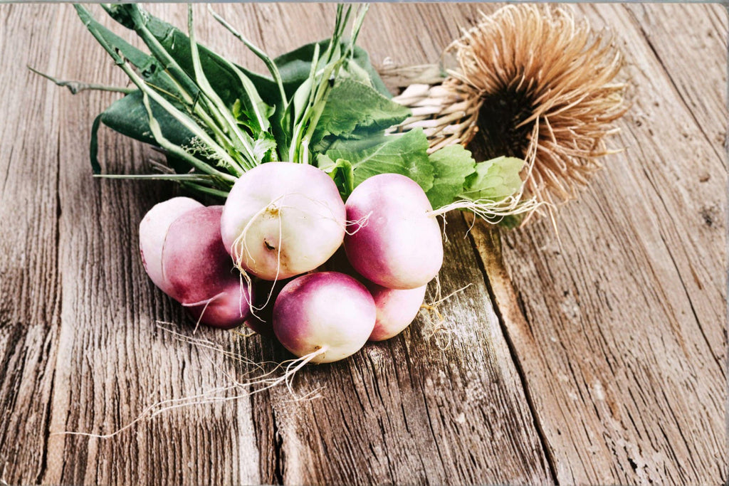 Turnip – Purple Top White Globe 300 Seeds | Classic Heirloom Turnip | Sweet White Roots | Dual-Purpose Greens & Roots