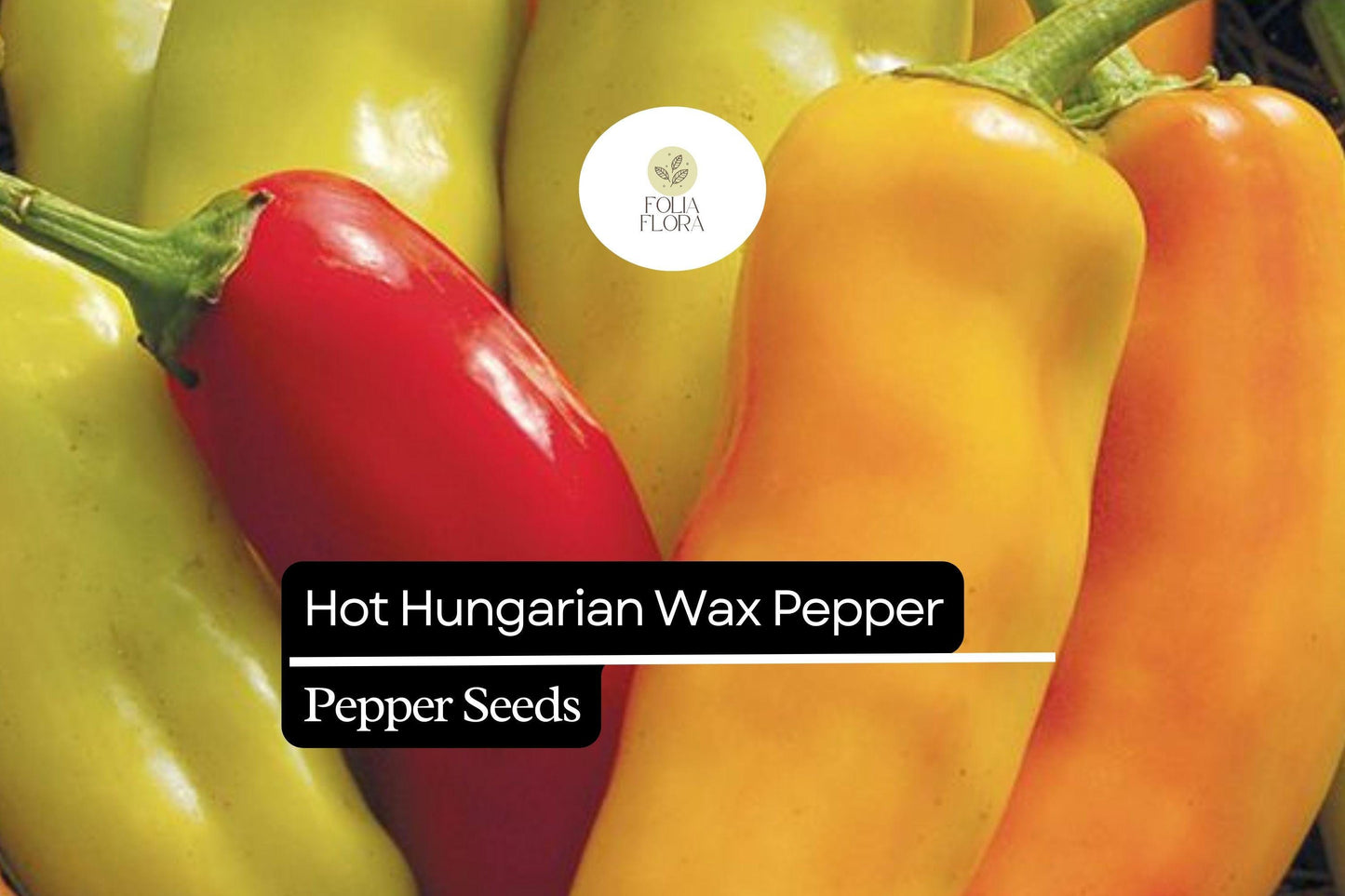 25 Hot Hungarian Wax Pepper Seeds – Capsicum annuum – Heirloom, Spicy & Tangy, High-Yielding